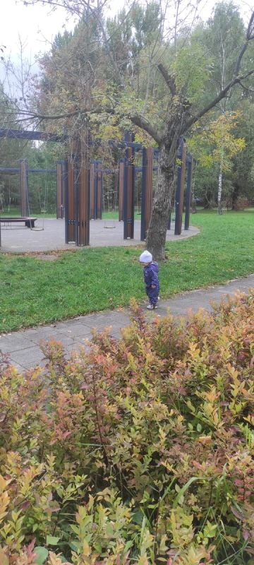 Глинтвейн как уютный спутник осенних вечеров