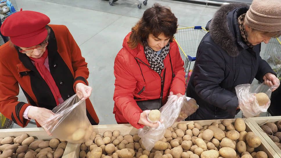 Цены на картофель и овощи падают: что это значит для потребителей и сельхозпроизводителей?