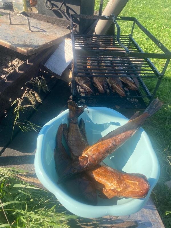 ����� �������� ��������: ��� ������� ��������� �� ����