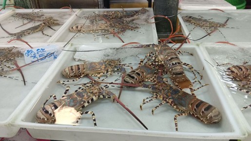 ���������� � ������� �������� �� ������ ����� ������ � �������