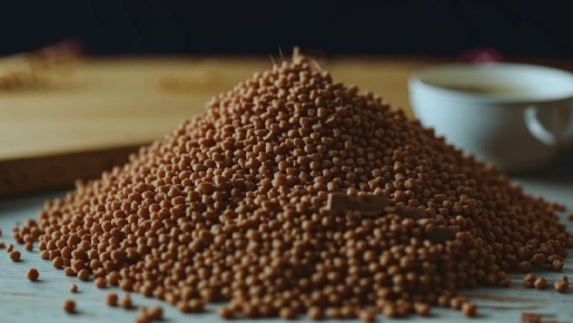 ��� ������ ����� ��������� ������� ���� �� �������