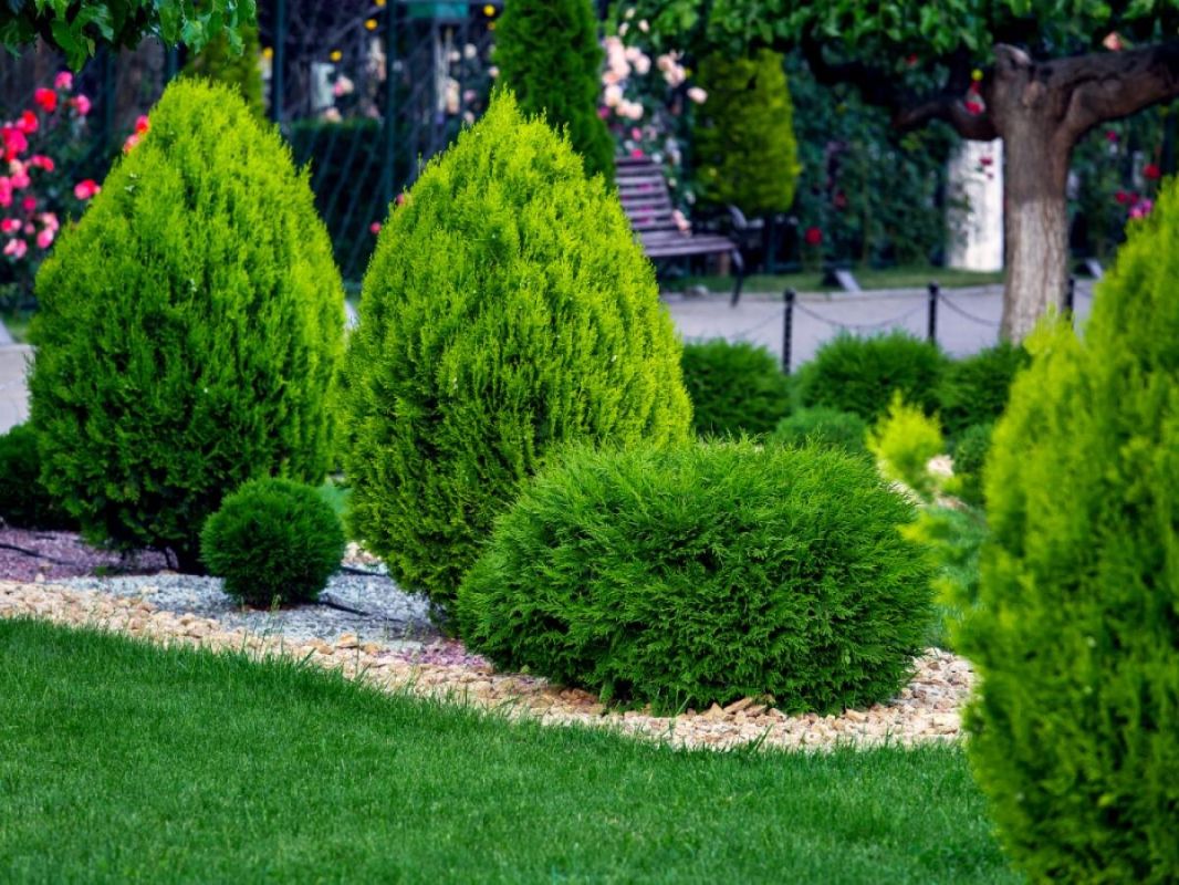 Весенний уход за газоном: секреты и лучшие практики