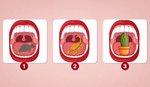 ��������� ���� ������ �����: ������������� ��������������� ���� �� ��������