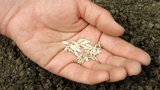 ��� ���������� �� ������� �������: ������� ���������� ��������������