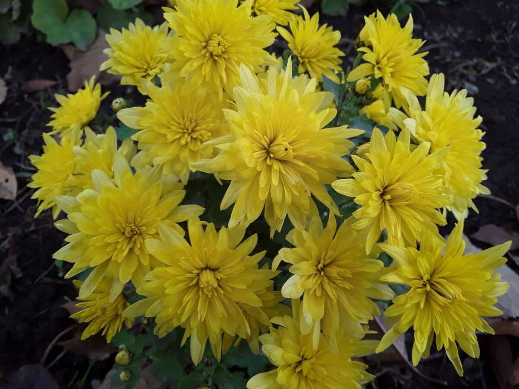 ����� � ����������: ����� ����� ���������� � ��������, � ����� �������� ���� �������