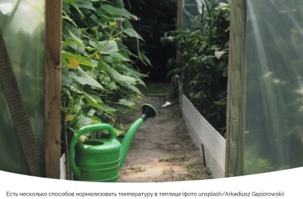 ��� ���������� � ����� � �������: ������ ������ ��� ���������