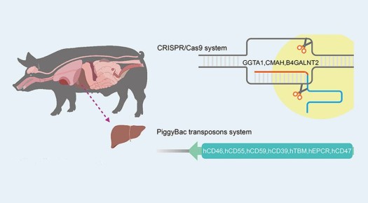 ������ � �������������������: ������ ������ � ������ �������� � ��������