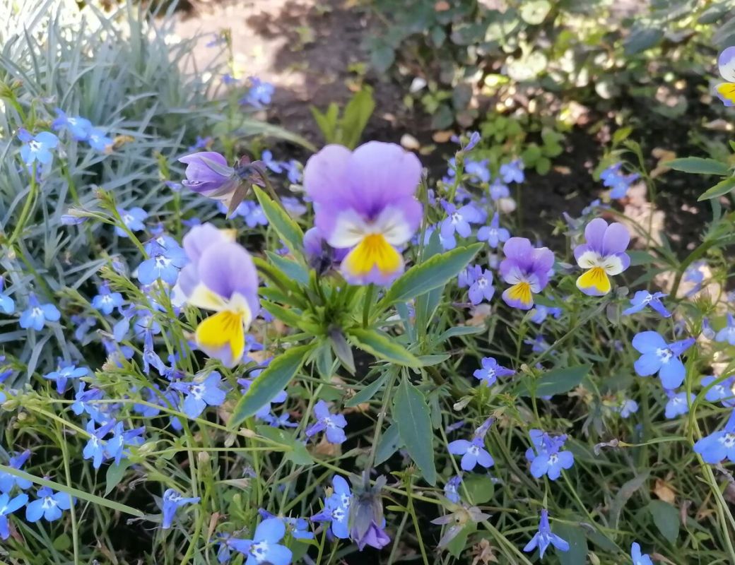 ������� � ����: ������� ����� �� ���������� � ������� ����� ������