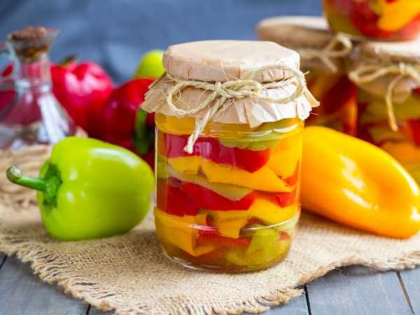 ������������ �����: ����� ���������� � ������ �����