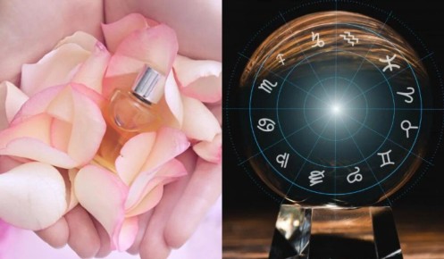 ��� �������, ����� ����������� ���� ����������������?