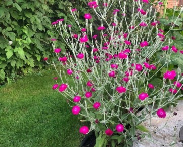 11 ������� �������� �� ����� '�'