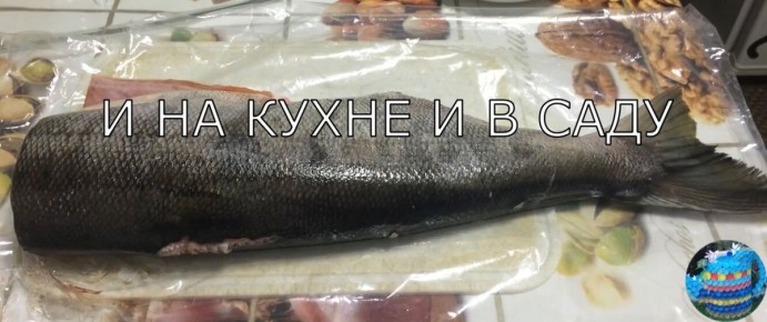 ��� ������ � ��������� �������� ���� � �������� ��������