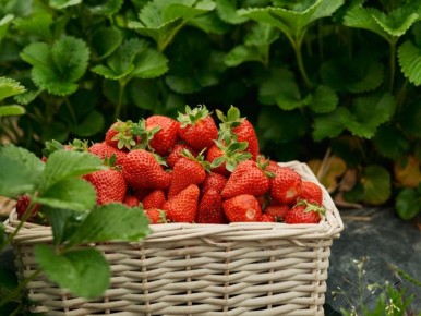 ����� ��������� ����� ��������: ��� �������� ���������������� ������