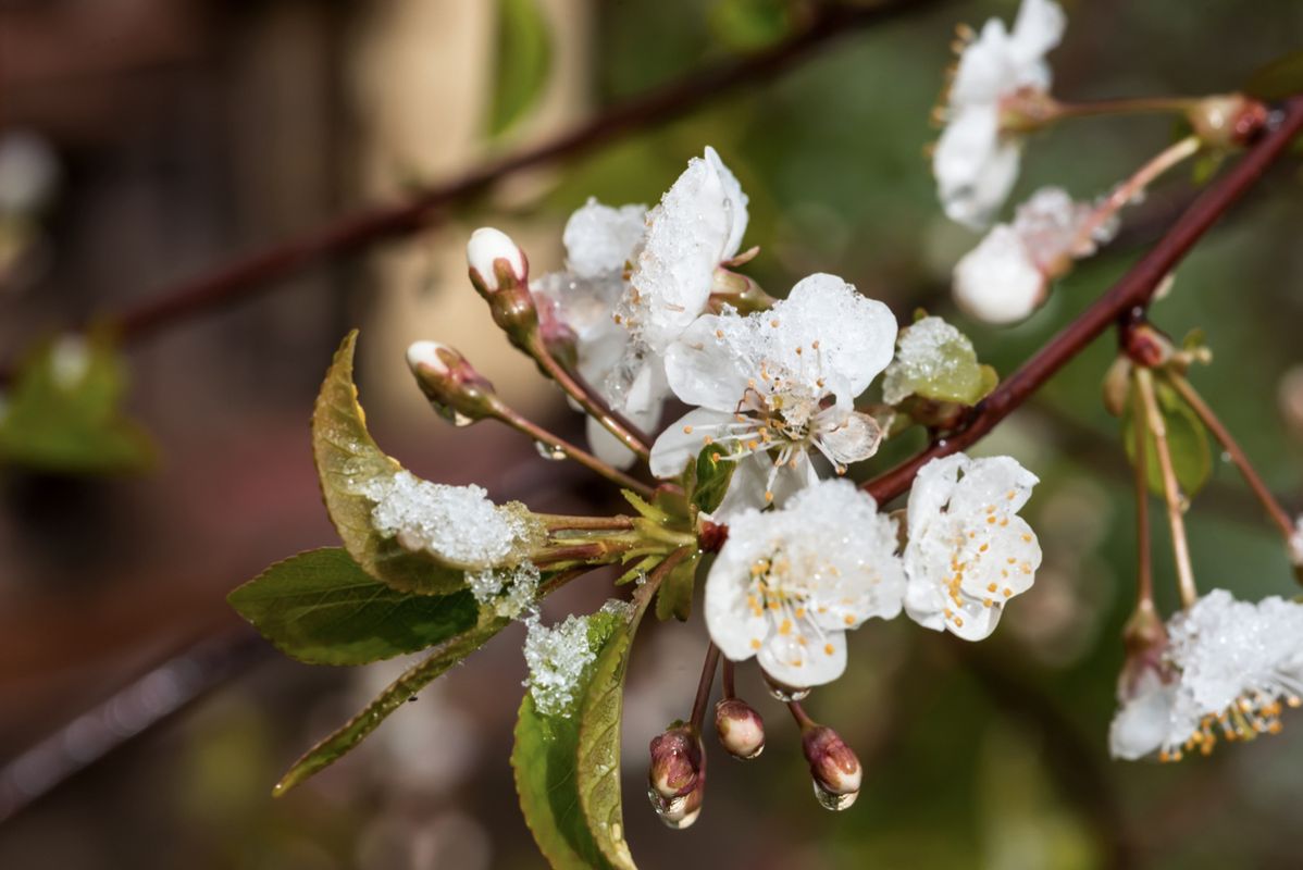 ��� �������� ���� �������� �� ����������� �������� ����������