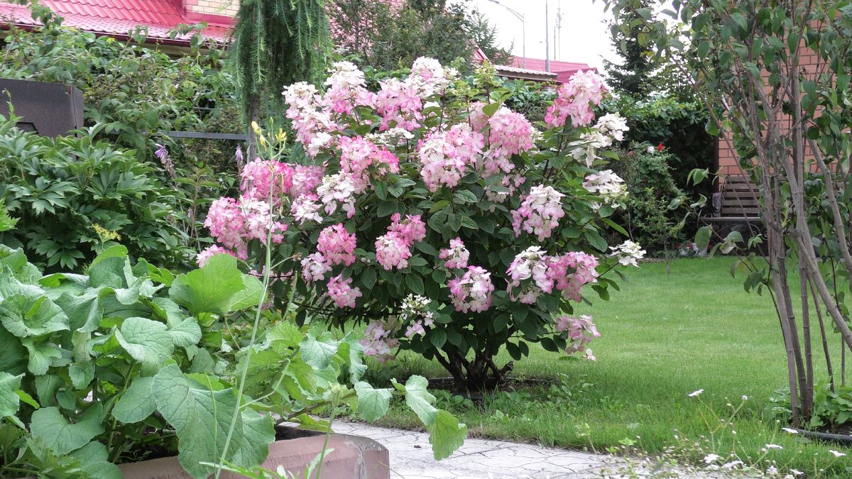 ��� ��������� �������� ����������� ���������: ������������ �����������