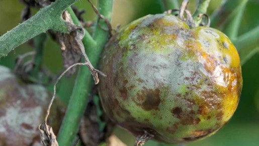 ���-3 �������� ������ ������ � ����������: ��� ������������� �������� � �������