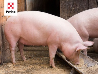 ��� �������� ���������� ������� ���� � ���� � ������