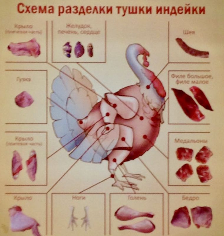 ����� ������� � ����� �������: ������ ��� �������� � �������