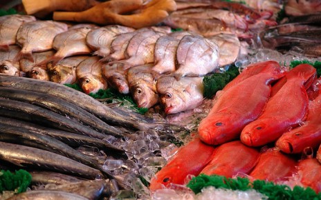 ������������ ������ ����: 10 ������ ����� ��� ������ ��������