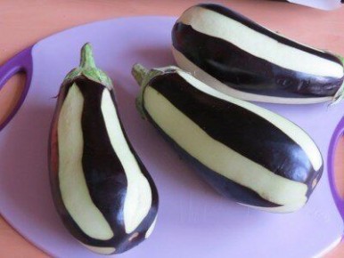 ���� ������: ���������� ��������� � ������ ��������