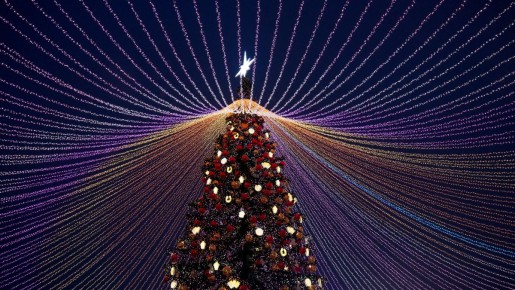 ������ ����� ���������� �� ��������� ������: ��� ���������� � ����������� ������