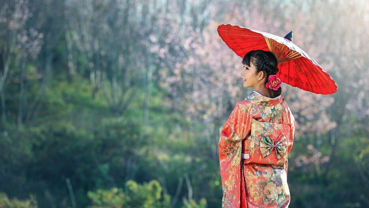 Необычный мир песни «Чайный домик»