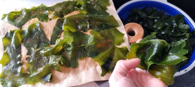 �������� ��� ���� �������������� ��� �������� ����