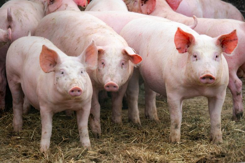 ������� �� ����� ����: �������� ����� ���������� � ���������