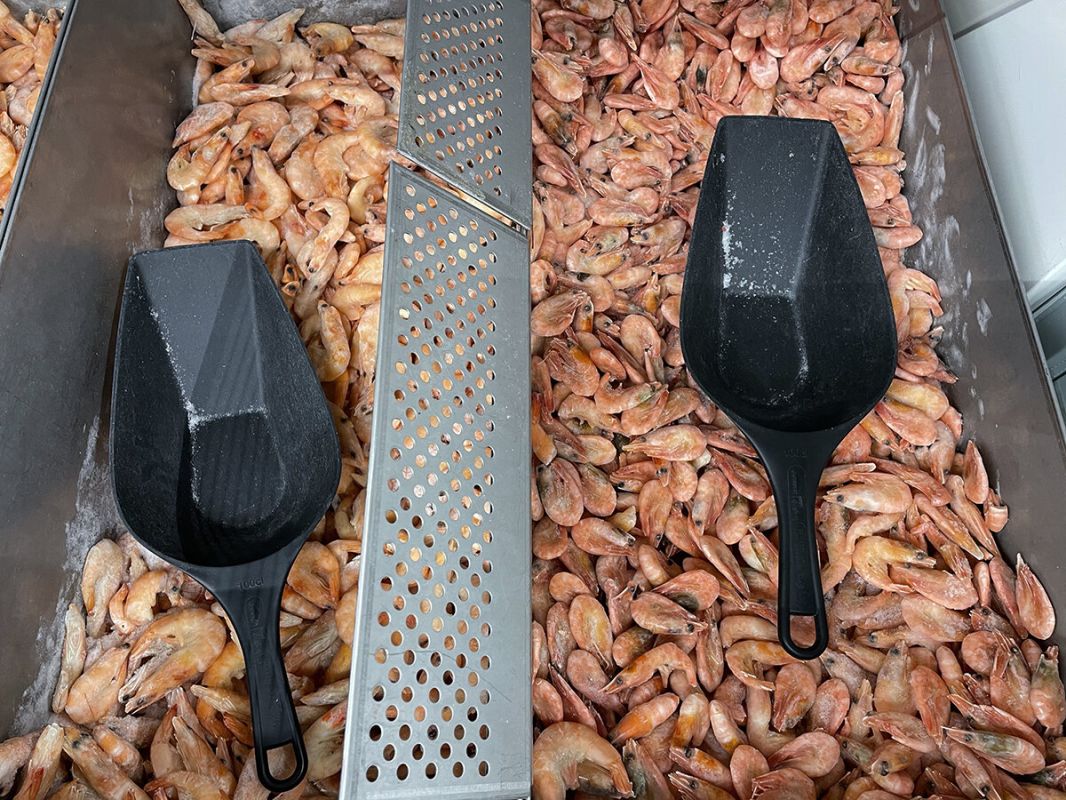 ����������� ������� ��� ������� ��������: ��� ������� �� ���������