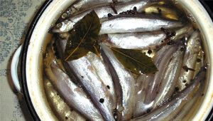 ������� ��������� ������ �����: �� �������� �� ������ ��������