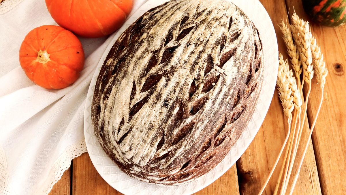 ������������ �����-��������� ���� � ������ � �����������