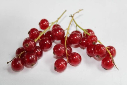 Как выбрать безопасные ягоды зимой