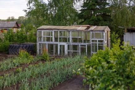 Зачем в теплице нужен таз с водой: советы опытного садовода