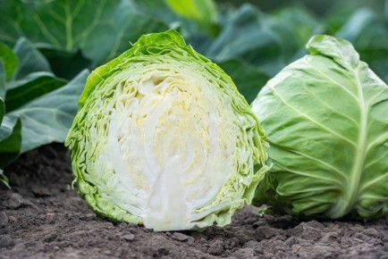 �������: ��� ����� ������� � ������ � ������ �����