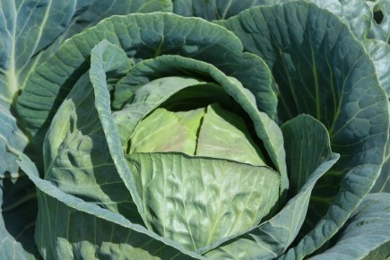 �������� �������: �������� ��� �������� � �������� ����������