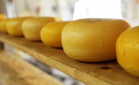 Сыр и здоровье мозга: как любимый продукт может защитить от деменции