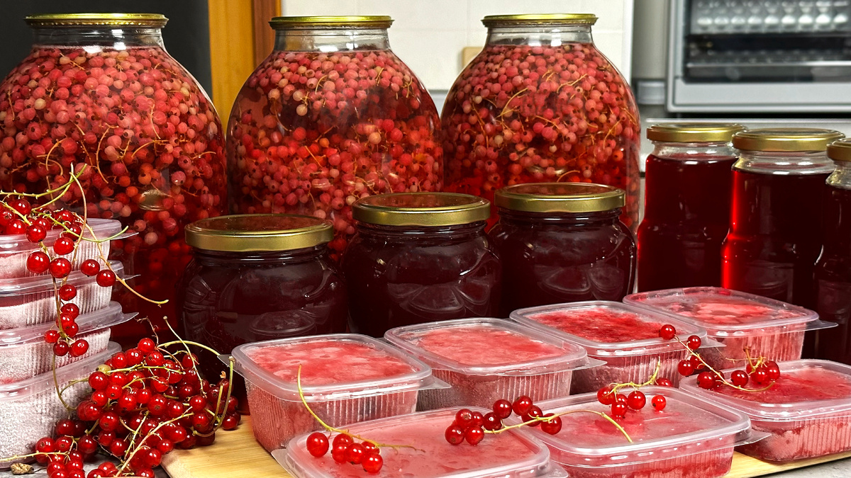 Заготовка красной смородины: 11 простых и вкусных рецептов на зиму