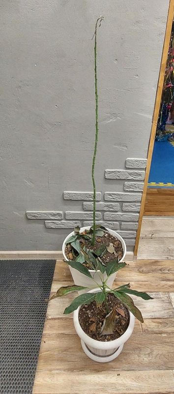 �������� ��� � ����������� � �����: ����� � ������� � �������