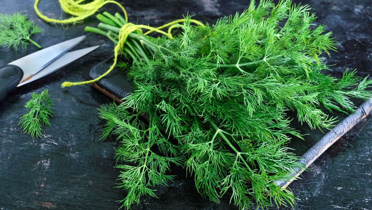 ��� ������� ������ ����� � �� ���������