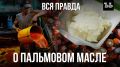 Пальмовое масло: мифы и факты