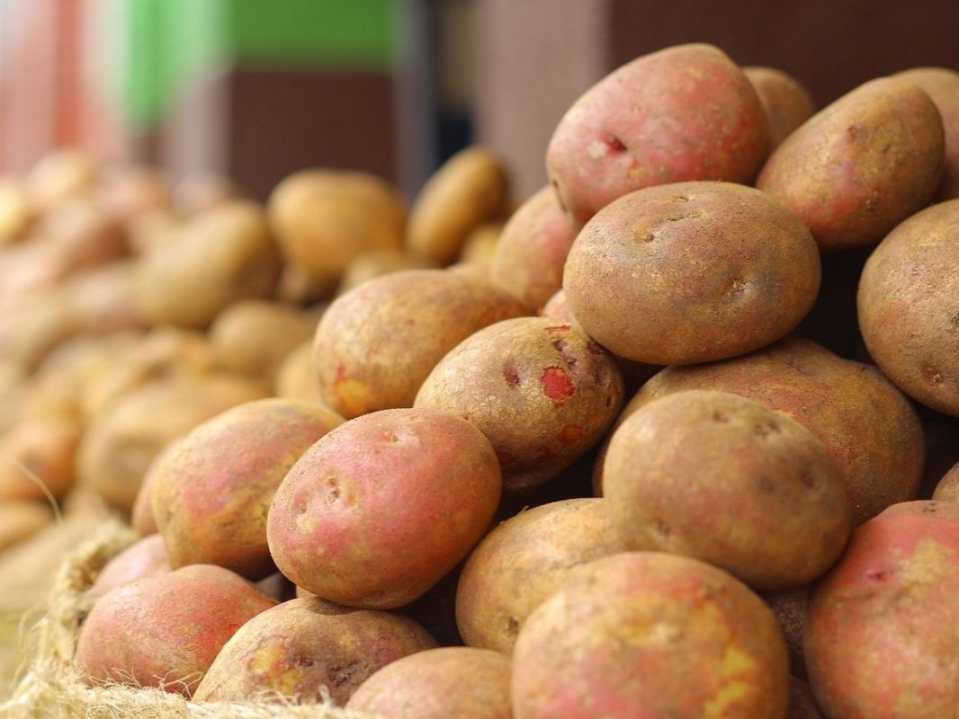 ������ ��������� ����� ������� 8 ��������� ����