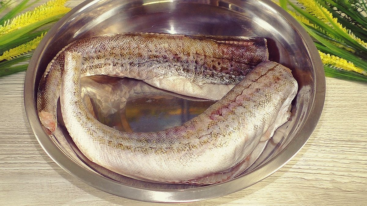 ���������� ����� ����: ������ � ��������� ����� ��� ������������ �����