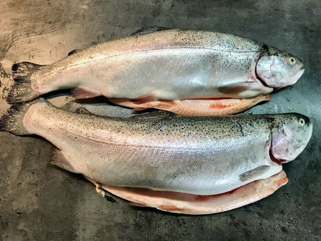 ��������� �������� ����: ������� � ������ ��� ��������