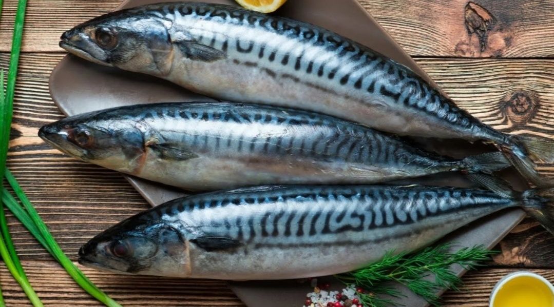 ������������ ��������: �������� � ������ �� ����� �����