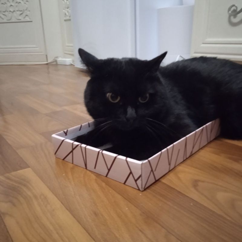 ��� �� ������� ������� ����: ������ �� ������� � �����