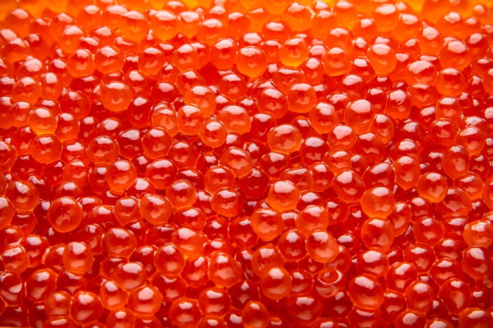 ����������������� ����: ��� ��� �� ��������� � ��� ��� ����������