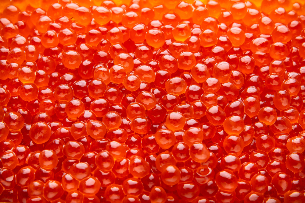 Структурированная икра: что это за деликатес и как его производят