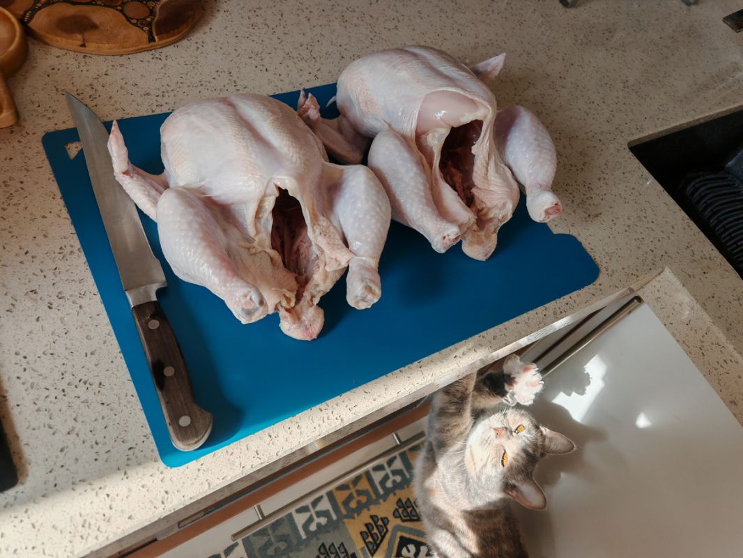 ��� ����������� ��������� ������� �������