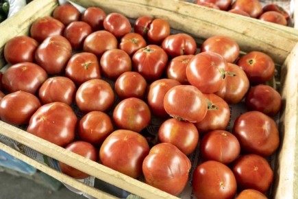 ������ �� ���������� �����: ������� ������������ ��������