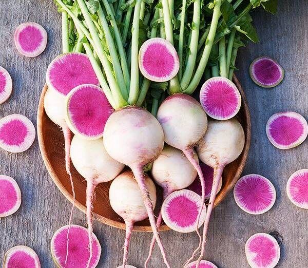 ������: ����-������ ��� �������� ����������?